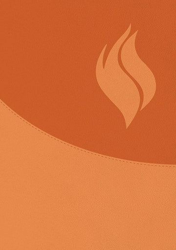 Biblia de Estudio Vida Plena - Ampliada y Actualizada (Imitación piel marrón) / Full Life Study Bible - Expanded and Updated (Brown Leatherette) cover image