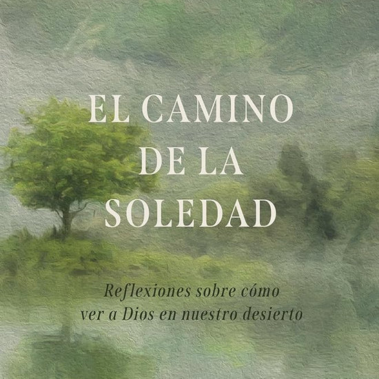El camino de la soledad cover image