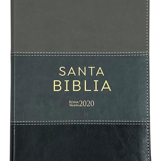 Biblia Reina Valera 2020 Letra Grande 12 pts Tricolor Gris Imitación piel Concordancia Referencias y Palabras de Cristo en Rojo cover image