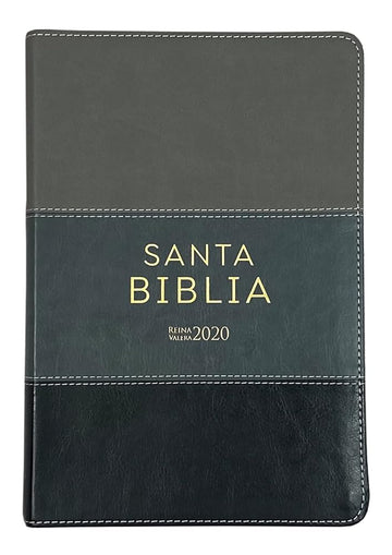 Biblia Reina Valera 2020 Letra Grande 12 pts Tricolor Gris Imitación piel Concordancia Referencias y Palabras de Cristo en Rojo cover image