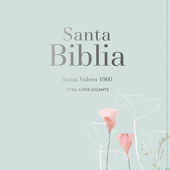 Santa Biblia / Holy Bible: Reina Valera 1960 Símil pel menta fresca, Palabras de Jesus en rojo, Mapas a todo color, notas a pie de pagina, super ... Red, Color Maps, Footnotes, Super Giant Print cover image