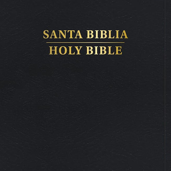 RVR 1960/KJV Biblia bilingüe tamaño personal, negro imitación piel, con índice (2024 ed.) / RVR 1960/KJV Personal Size Bilingual Bible, black ... (2024 edition) (Spanish and English Edition) cover image