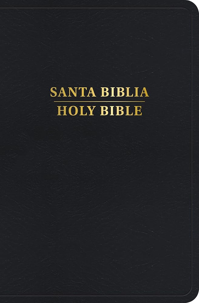 RVR 1960/KJV Biblia bilingüe tamaño personal, negro imitación piel, con índice (2024 ed.) / RVR 1960/KJV Personal Size Bilingual Bible, black ... (2024 edition) (Spanish and English Edition) cover image