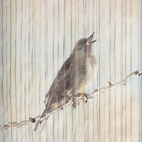Al despertar (SPA Upon waking) (Spanish Edition) cover image