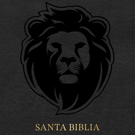 RVR 1960 Biblia letra grande tamaño manual edición especial, ceniza, símil piel (RVR 1960 Hand Size Giant Print, Ash, LeatherTouch Special Edition) (Spanish Edition) cover image