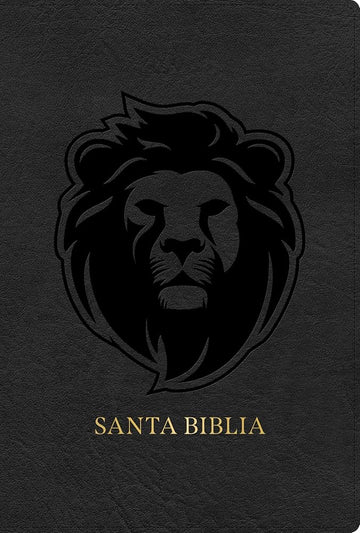 RVR 1960 Biblia letra grande tamaño manual edición especial, ceniza, símil piel (RVR 1960 Hand Size Giant Print, Ash, LeatherTouch Special Edition) (Spanish Edition) cover image