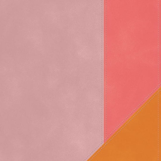 RVR 1960 Biblia de Estudio Arcoíris, rosa cuarzo, símil piel (RVR 1960 Rainbow study bible, pink quartz LeatherTouch) (Spanish Edition) cover image