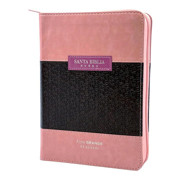 Biblia Reina Valera 1960 tamaño portátil Letra Grande 11 puntos. Imitación Piel Rosa/marrón. Cierre e índice. Colección Abba. cover image