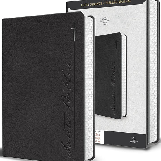 Biblia RVR 1960 Letra gigante, símil piel, gris (Edición cantos pintados) / Spanish Bible RVR 1960 Giant Print Handy Size Leathersoft Gray with cross (Spanish Edition) cover image