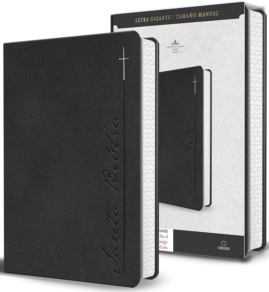Biblia RVR 1960 Letra gigante, símil piel, gris (Edición cantos pintados) / Spanish Bible RVR 1960 Giant Print Handy Size Leathersoft Gray with cross (Spanish Edition) cover image