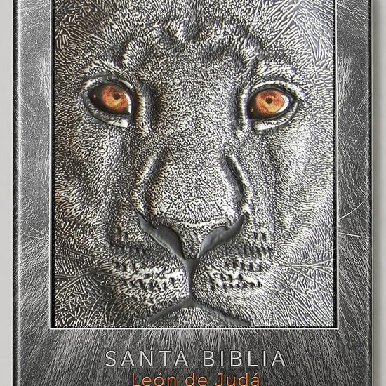 Biblia RVR 1960 Letra grande León de Judá edición especial plata con índice y canto negro / Spanish Bible RVR 1960 Large Print Imitation Leather Lion of J (Spanish Edition) cover image