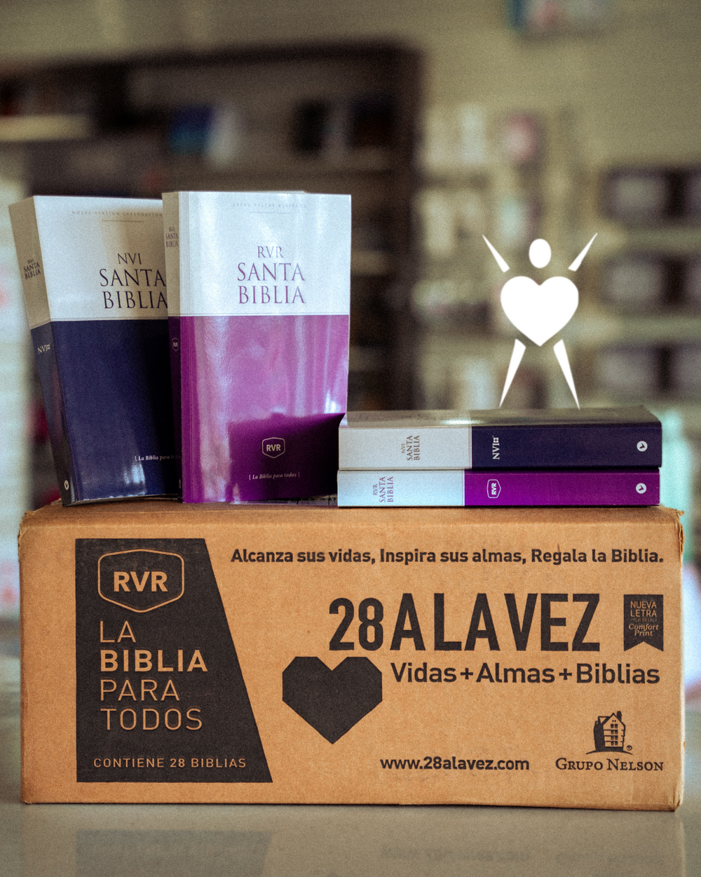 Santa Biblia NVI - Edición económica / Caja de 28