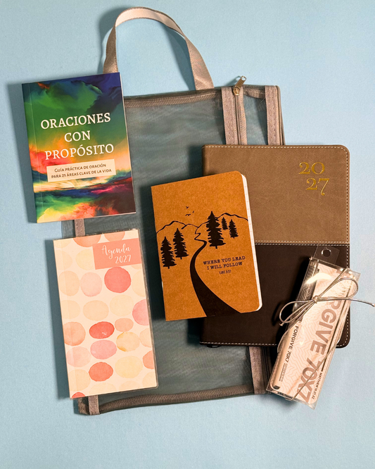 Bundle Agenda 2027 | Gris