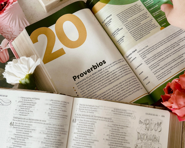 Pura Vida Books