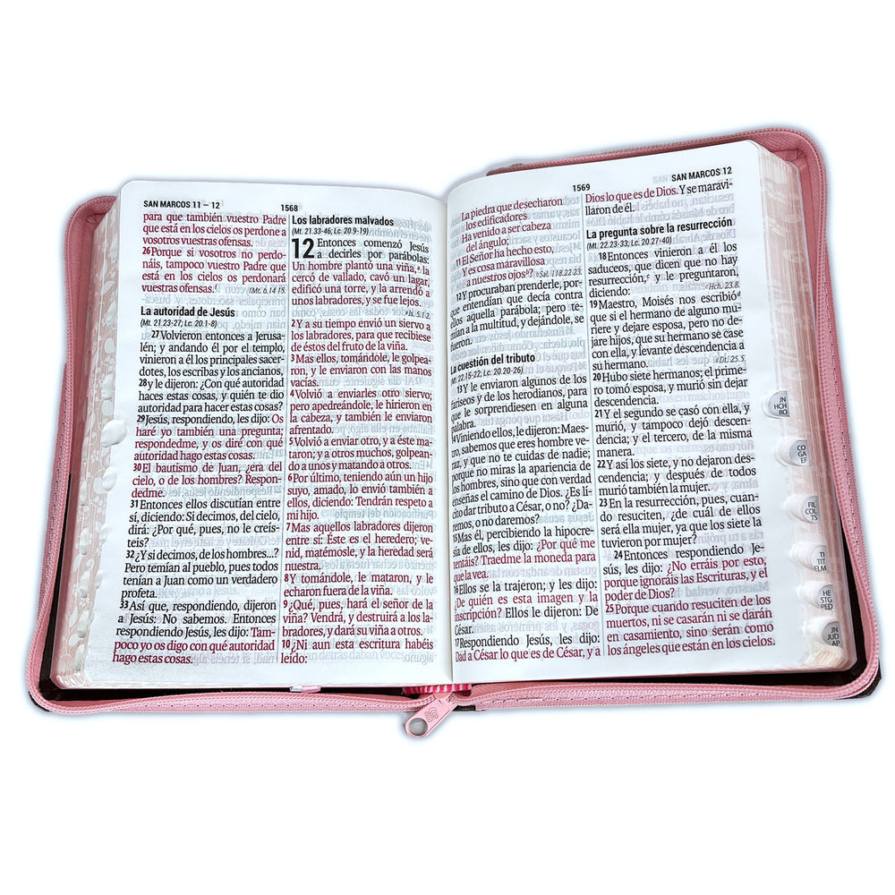 Biblia RVR 1960 Letra Supergigante