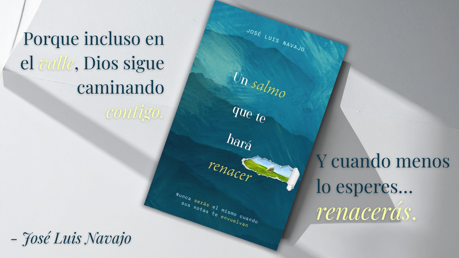 Pura Vida Books