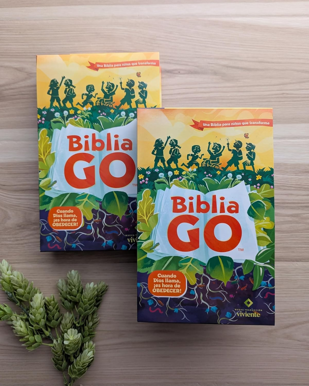 Biblias | Niños