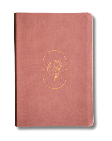 Biblia RVR1960 | Promesas Virtuosa, Letra Gigante, Piel Especial Rosa