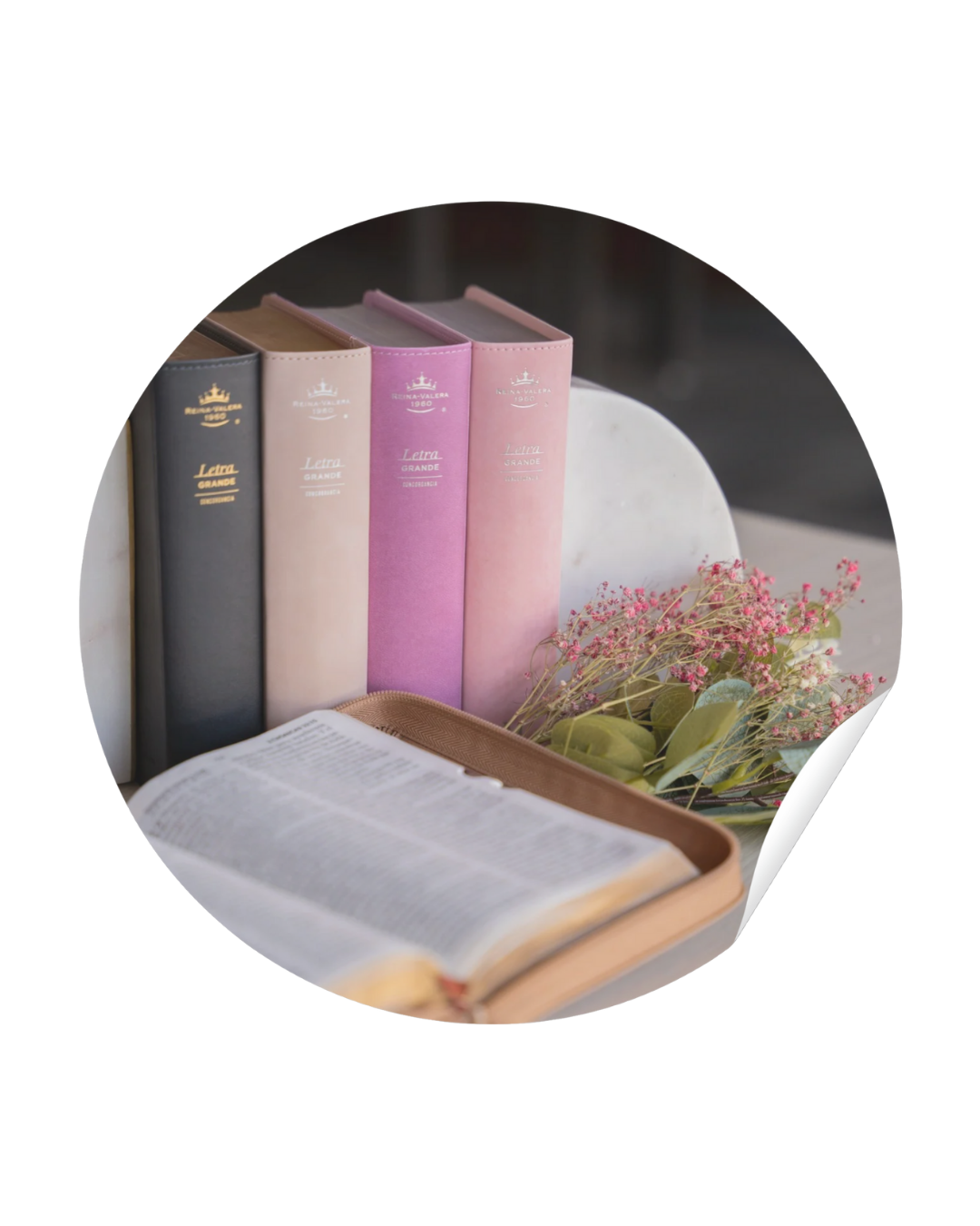 Biblias