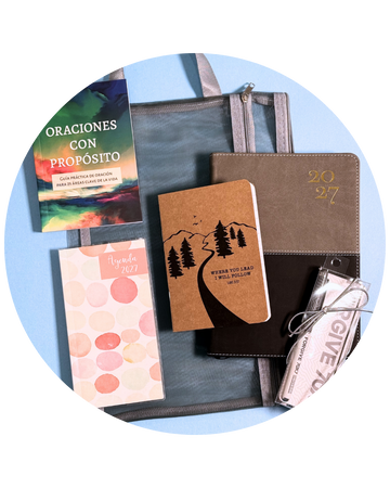 Bundle Agenda 2027 | Gris