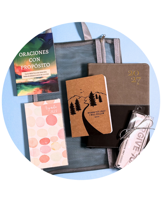Bundle Agenda 2027 | Gris