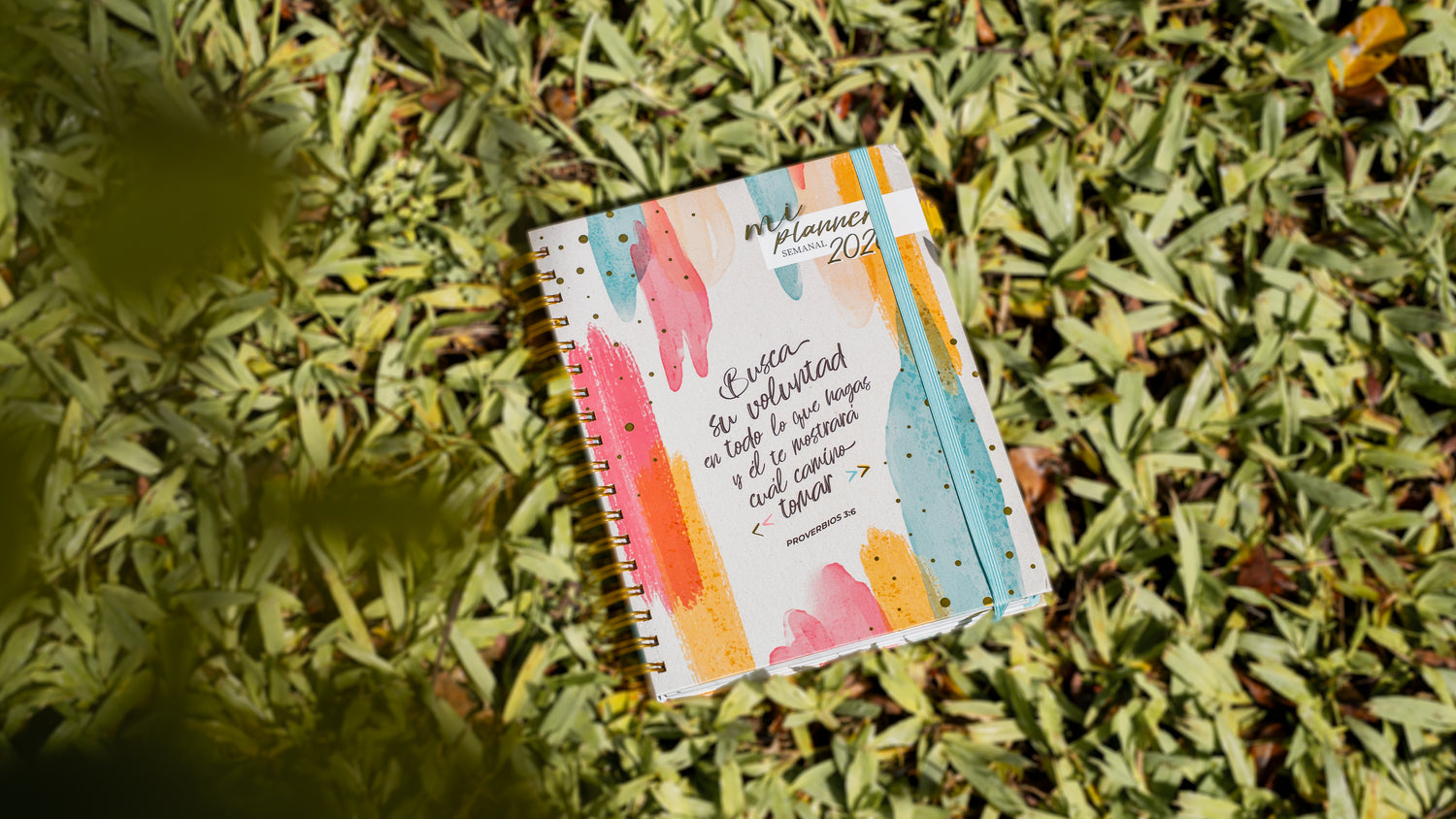Pura Vida Books