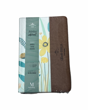 Biblia Ideal RVR60 | Juncos Vibrantes
