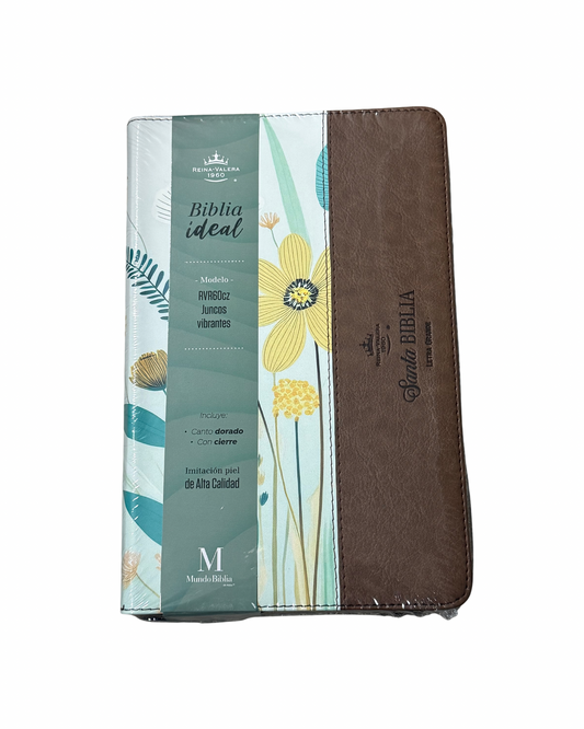 Biblia Ideal RVR60 | Juncos Vibrantes