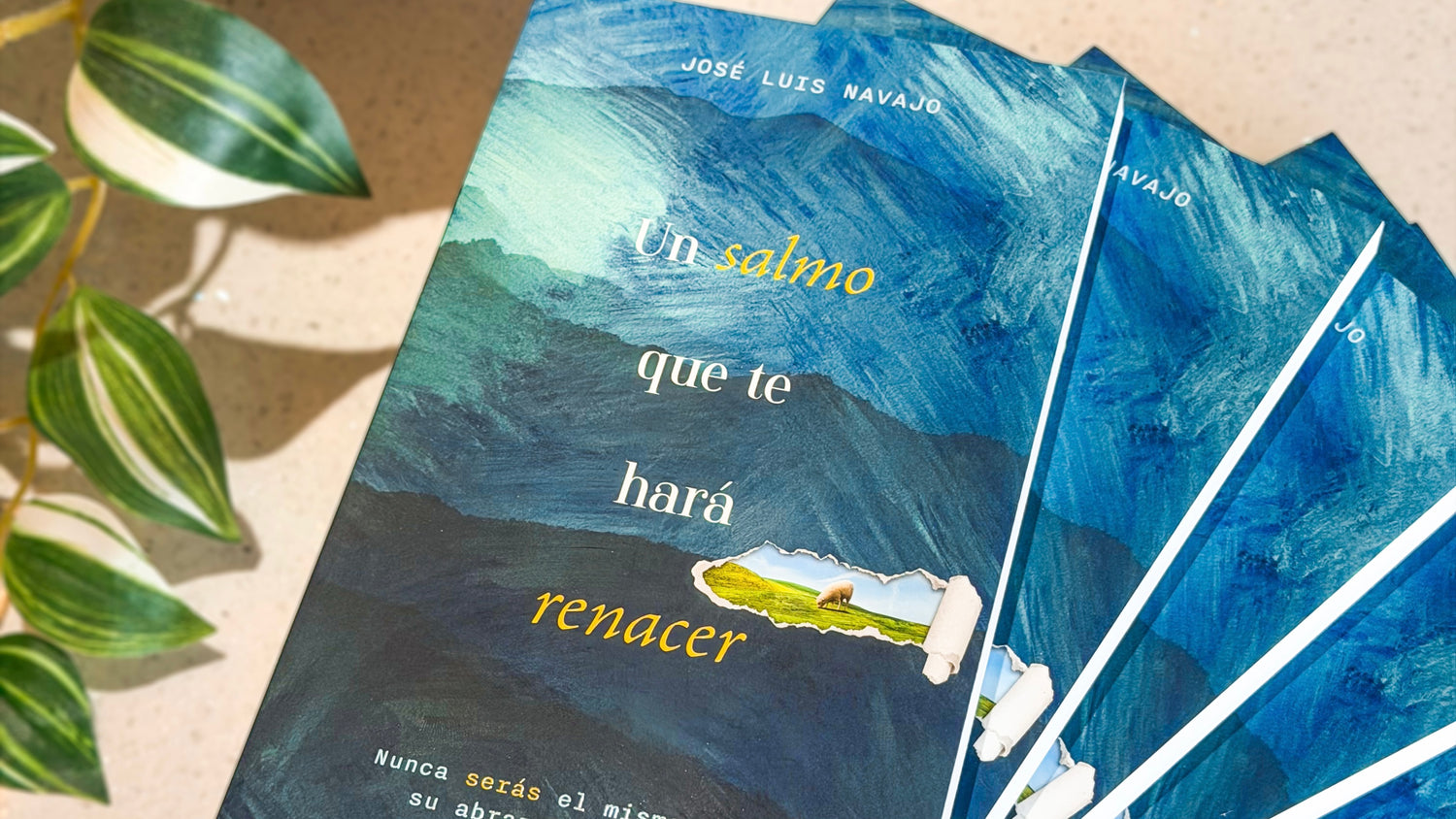 Pura Vida Books