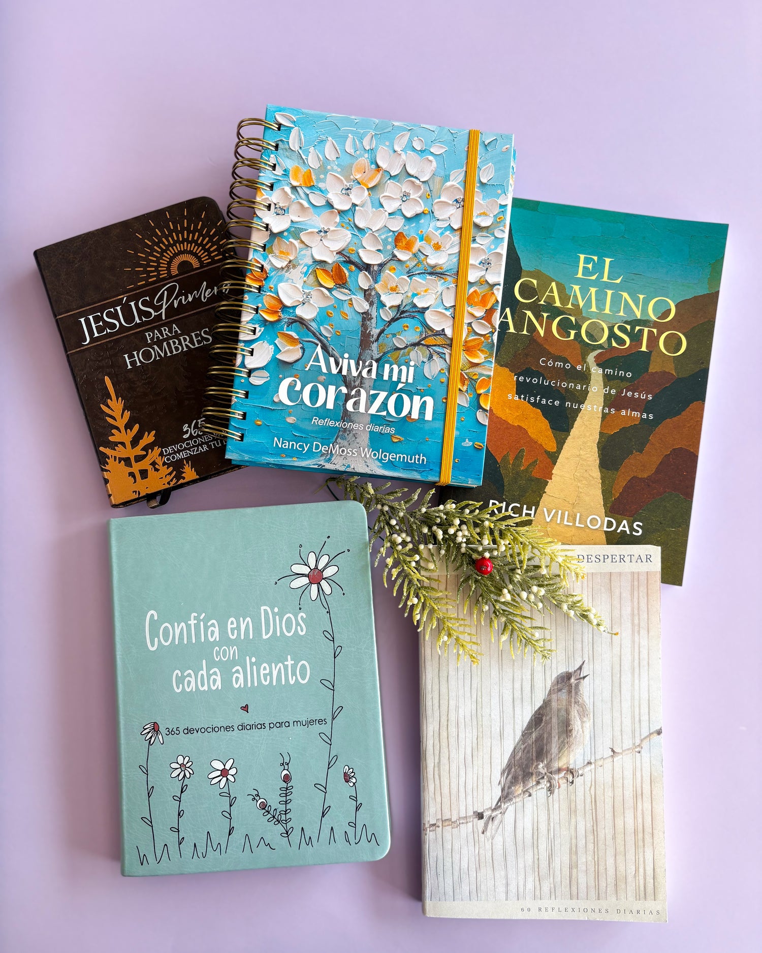 Devocionales y lecturas que recomendamos