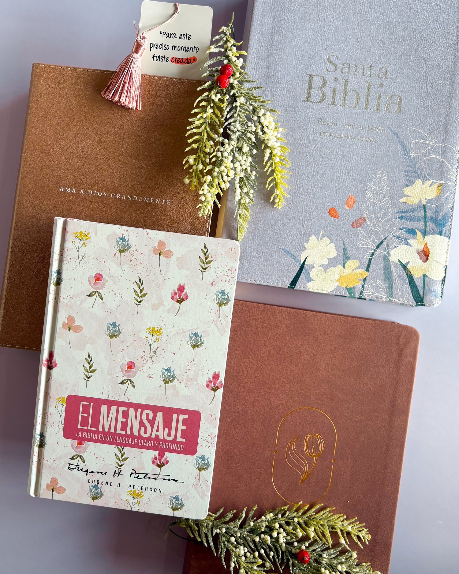 Biblias para regalar