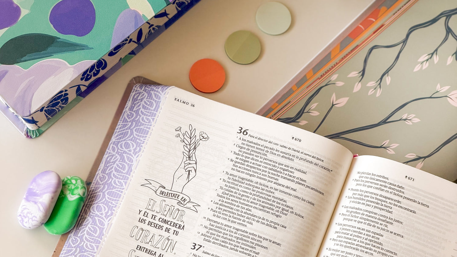 Pura Vida Books