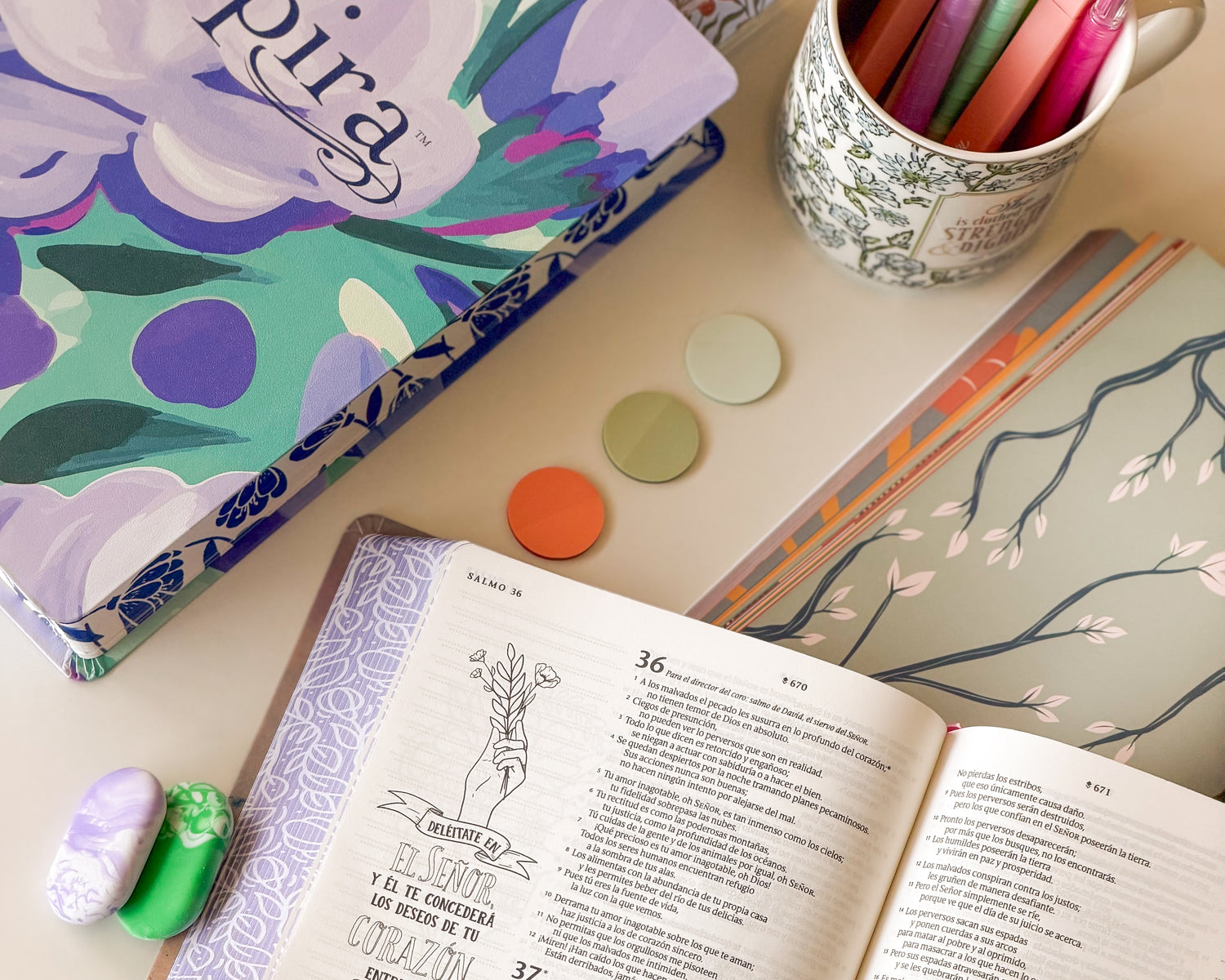Pura Vida Books