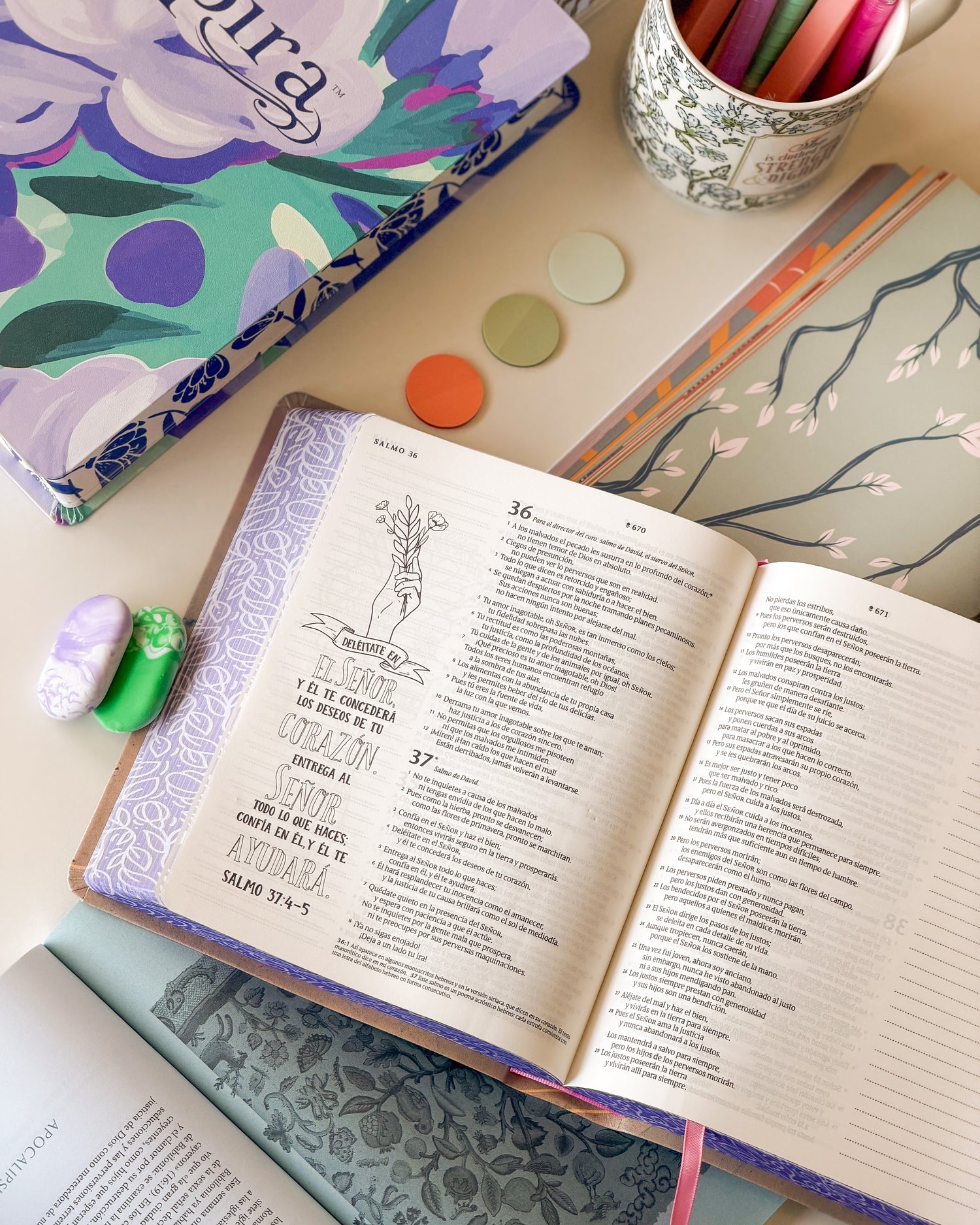 Pura Vida Books