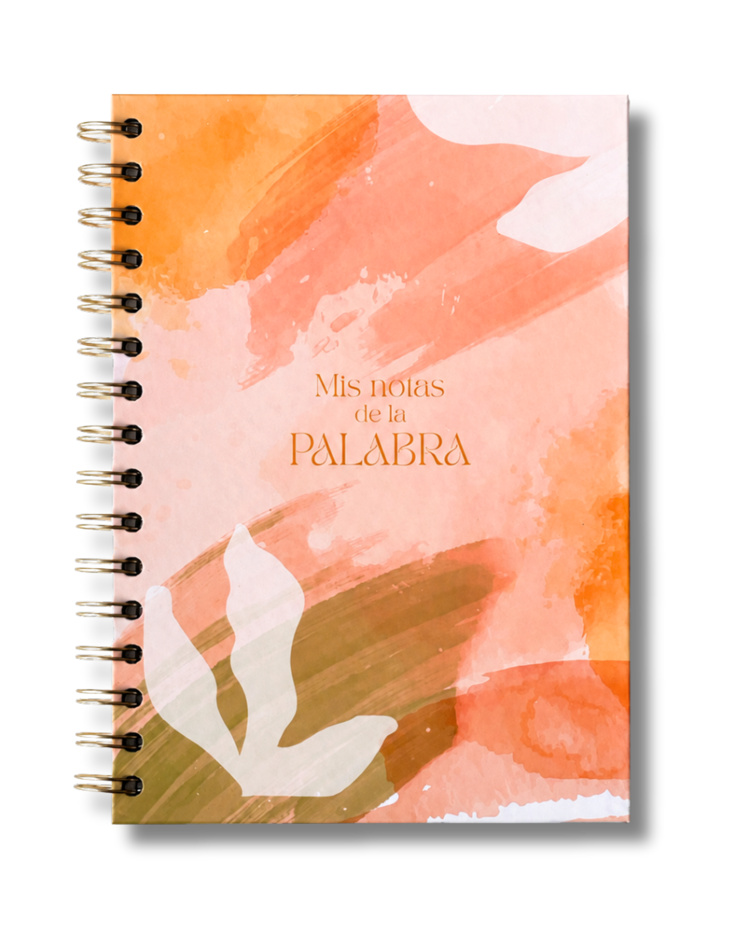 Mis Notas de la Palabra