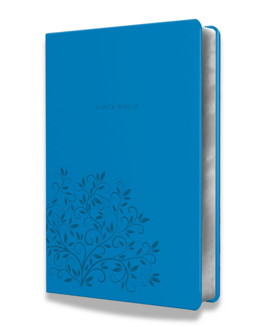 Santa Biblia Reina Valera 1960 | Letra grande, imitación piel, borde de páginas plateado, cinta y fotos a color de Tierra Santa