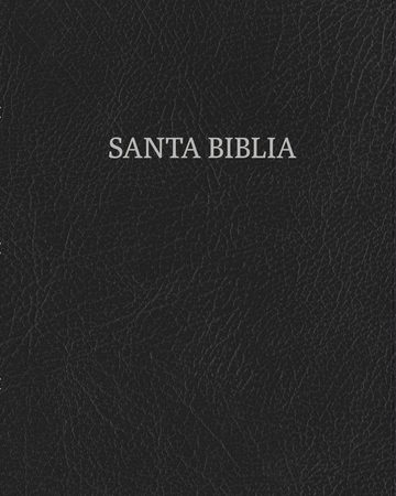 Santa Biblia RVR1960 | Letra Grande, Tamaño Manual, color negro con letras plateadas