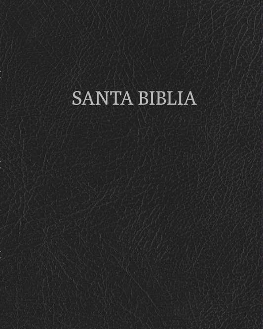 Santa Biblia RVR1960 | Letra Grande, Tamaño Manual, color negro con letras plateadas