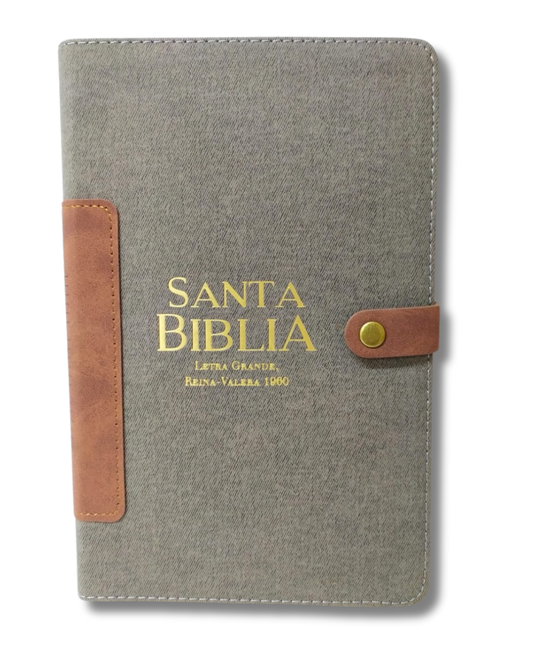 Santa Biblia | (RVR1960) Vintage color Gris con broche en color café