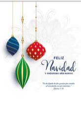 Tarjeta Feliz Navidad - Pura Vida Books