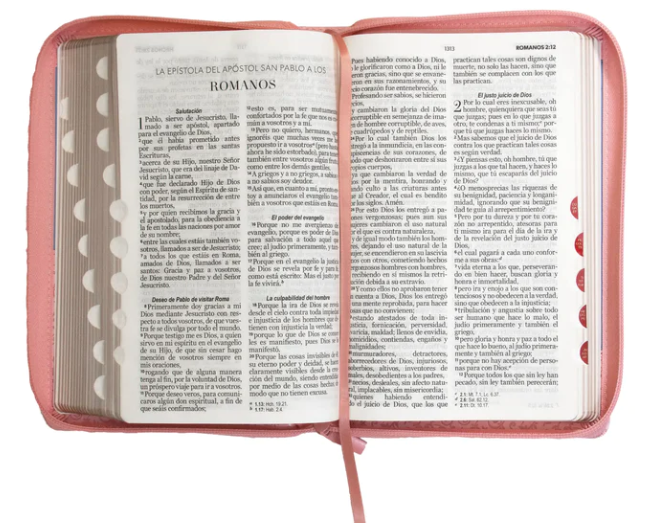 Biblia RVR 1960 Letra Grande, Tamaño Manual, Símil Piel Rosa Azul, con Índice y Cierre