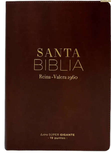 Biblia Reina Valera 1960