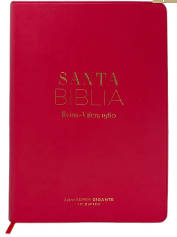 Biblia Reina Valera 1960