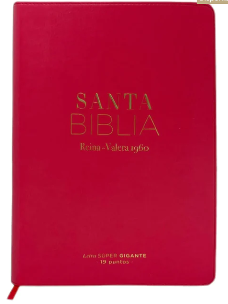 Biblia Reina Valera 1960