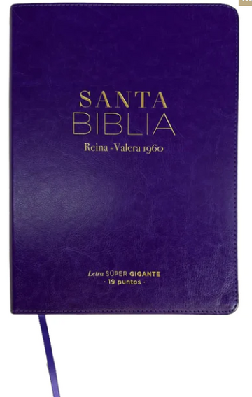 Biblia Reina Valera 1960