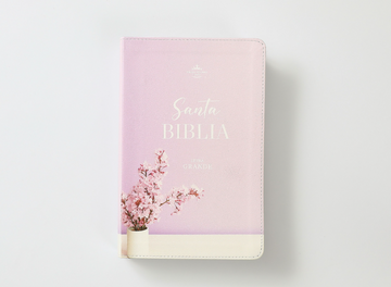 Biblia RVR60 065cti Colección Supreme Lila con jarrón