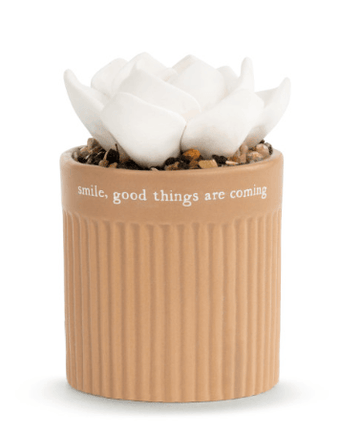 Difusor de Aceite Suculento - Smile (Sonrie)