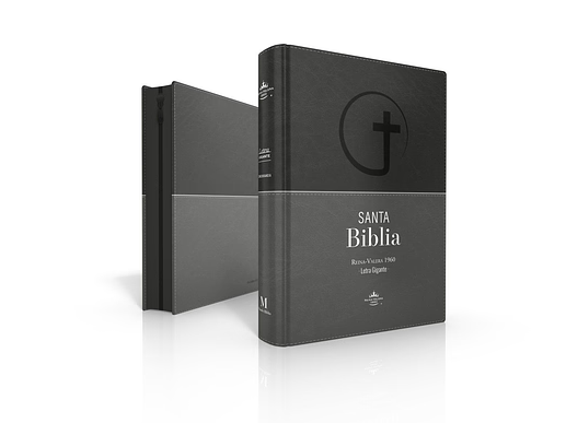 Biblia RVR1960 | Colores gris y negro, con índice, zipper y Letra Gigante