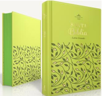 Biblia Obsequios y premios RVR60 Imitación piel | Verde olivo