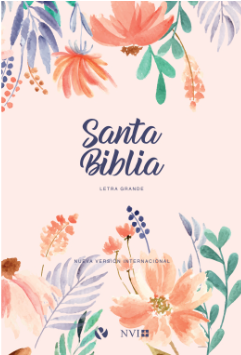 Biblia NVI | Rosa Letra Grande